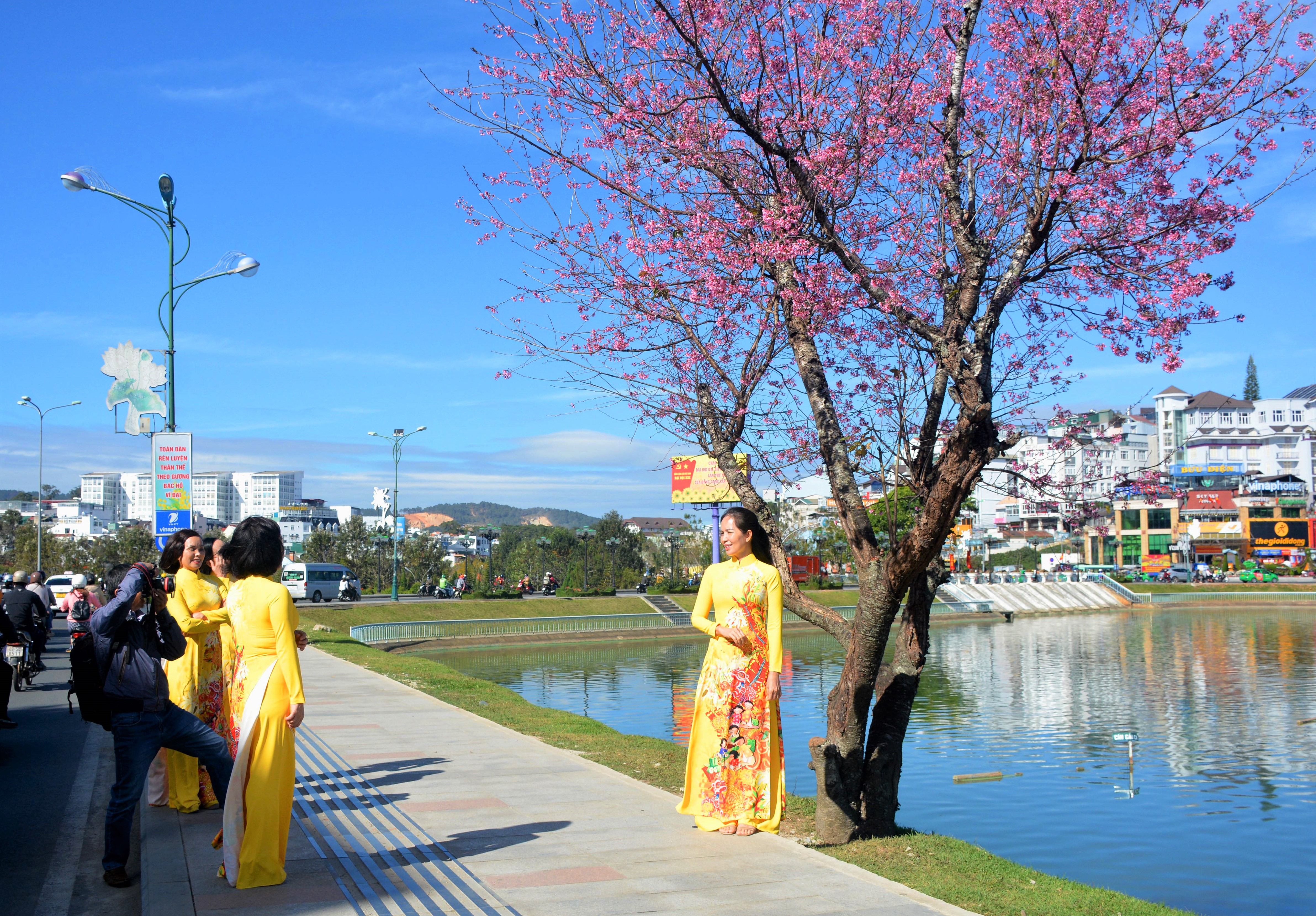 Du khách lưu lại khoảnh khắc bên hoa.